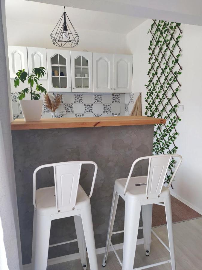 Elyon Apartment 1 奥赫里德 外观 照片